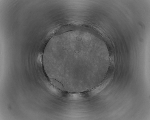 X0000111000286200907171820