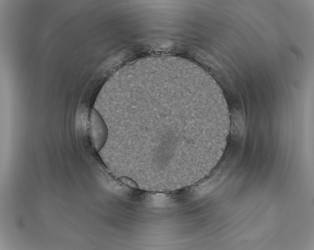 X0000111000287200907171820