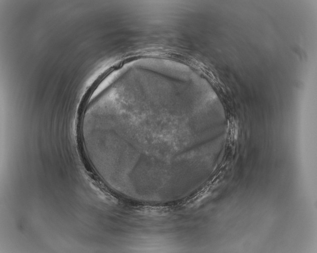 X0000111000292200907171819