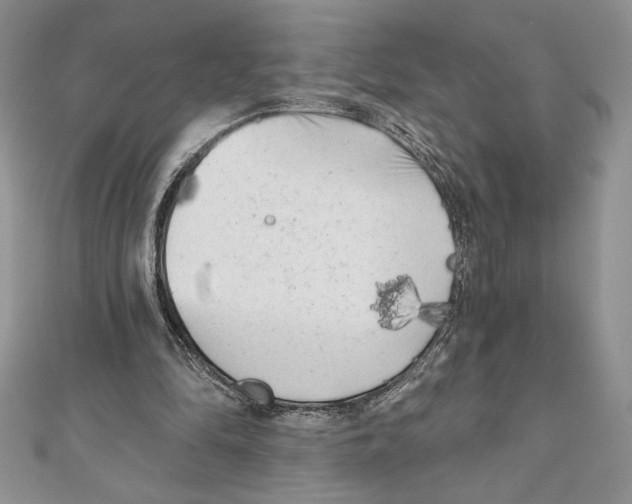 X0000111000294200907171819