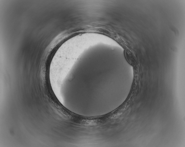 X0000111000295200907171819