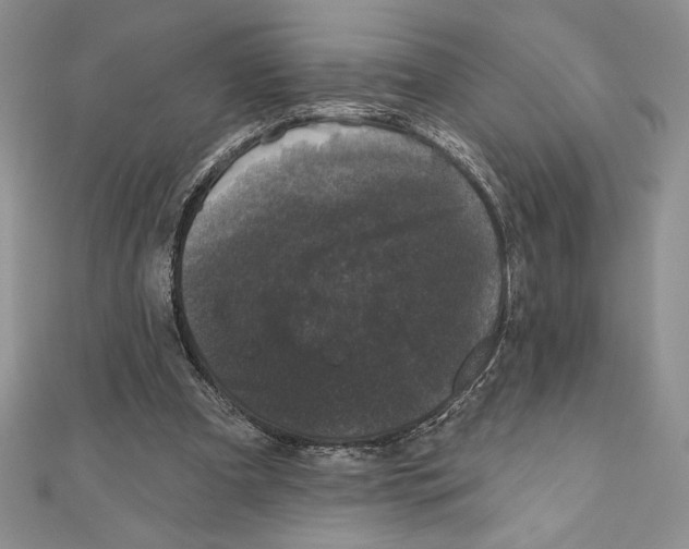 X0000111000297200907171819