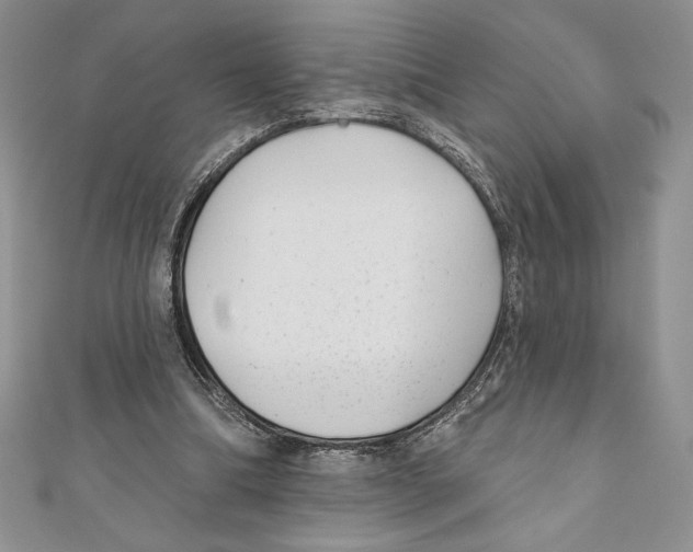 X0000111000298200907171819