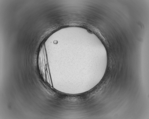 X0000111000299200907171819