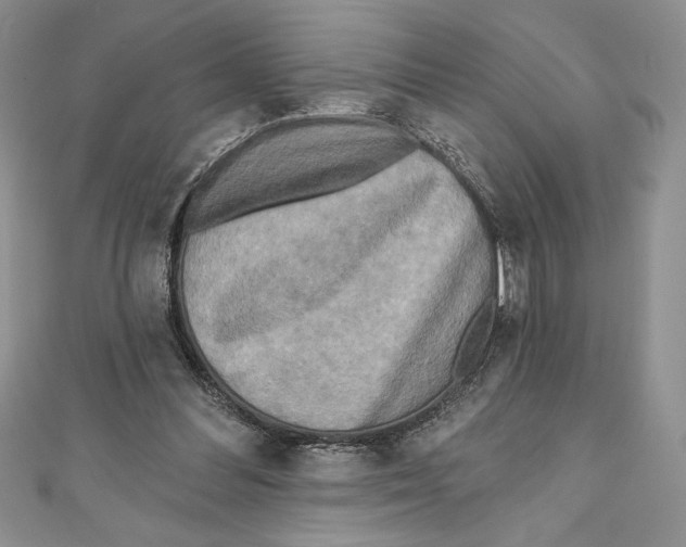 X0000111000300200907171819