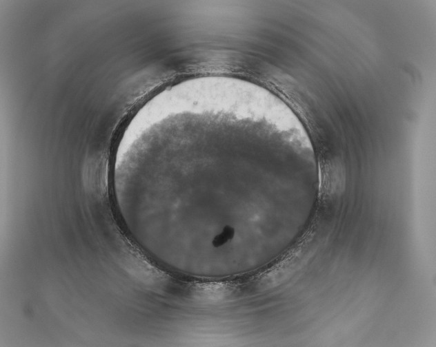 X0000111000301200907171819