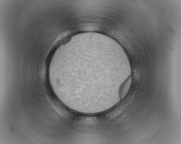 X0000111000304200907171819