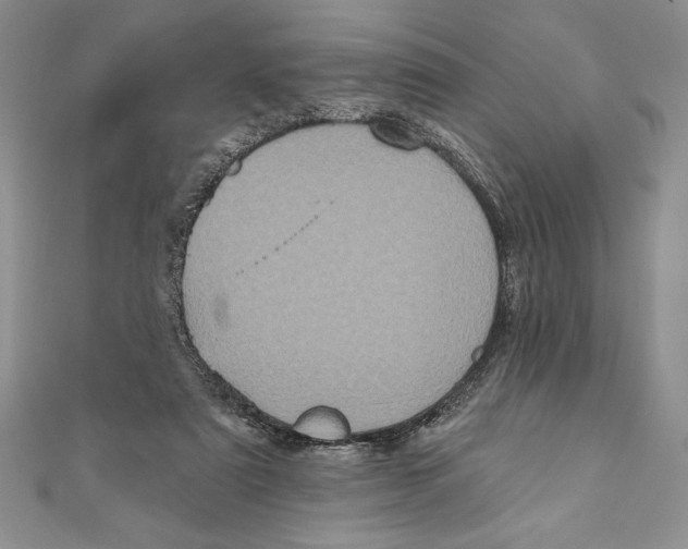 X0000111000307200907171819