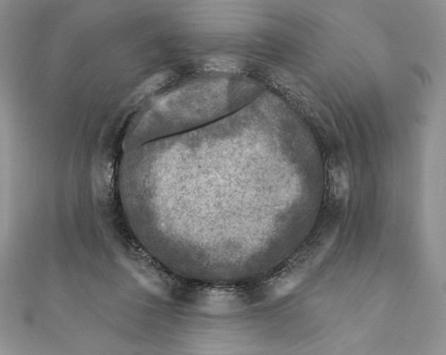 X0000111000308200907171819