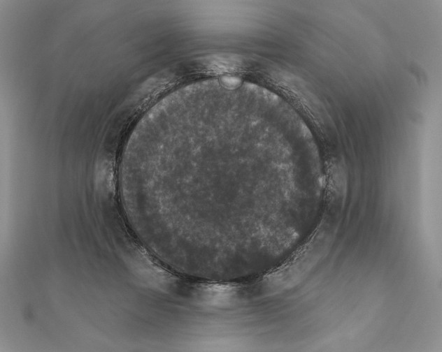 X0000111000313200907171819