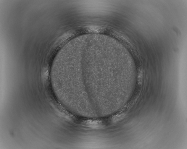 X0000111000314200907171819