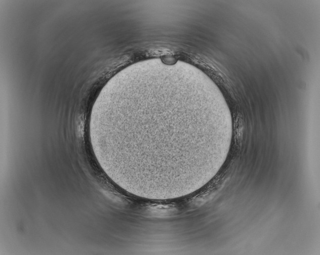 X0000111000315200907171819