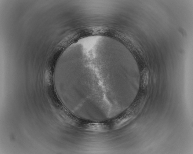 X0000111000316200907171819