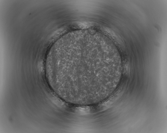 X0000111000317200907171819