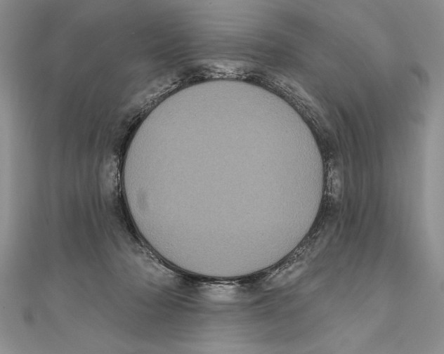 X0000111000318200907171819