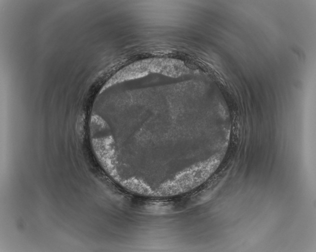 X0000111000319200907171819