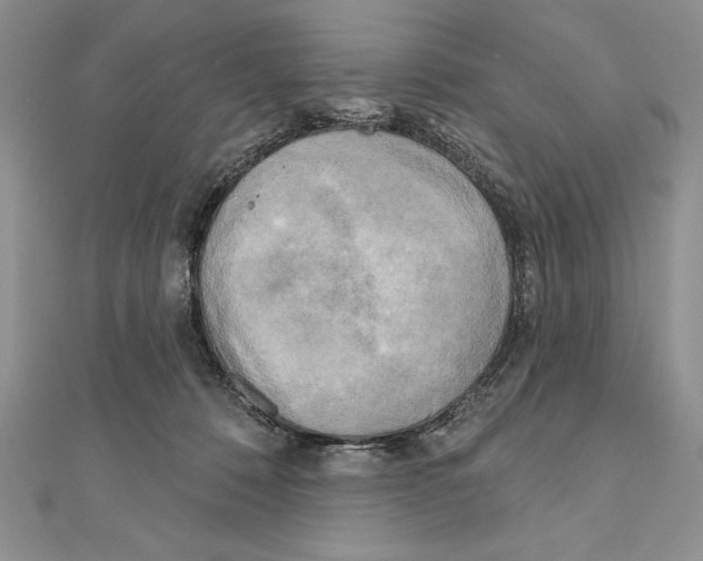 X0000111000320200907171819