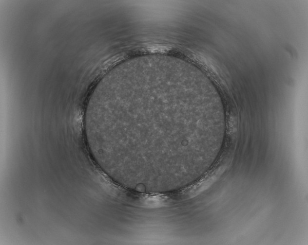 X0000111000321200907171819