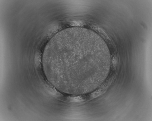 X0000111000322200907171819