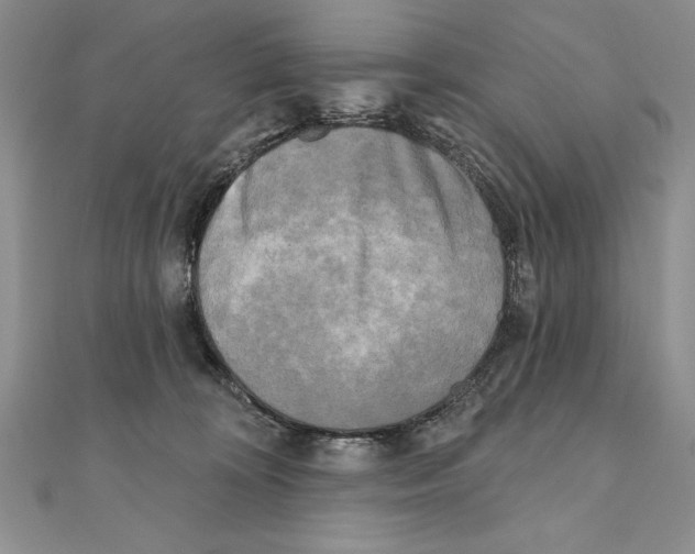 X0000111000324200907171819