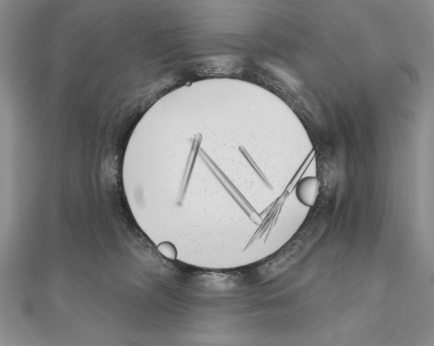 X0000111000326200907171819