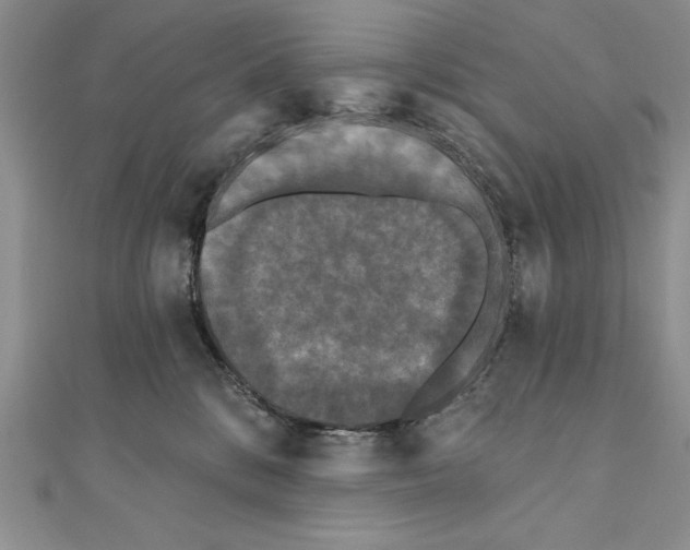 X0000111000328200907171819