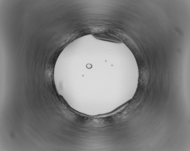 X0000111000329200907171819