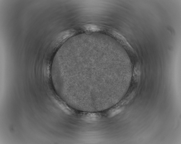 X0000111000330200907171819