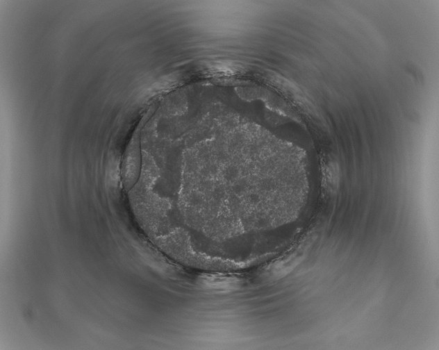 X0000111000331200907171819