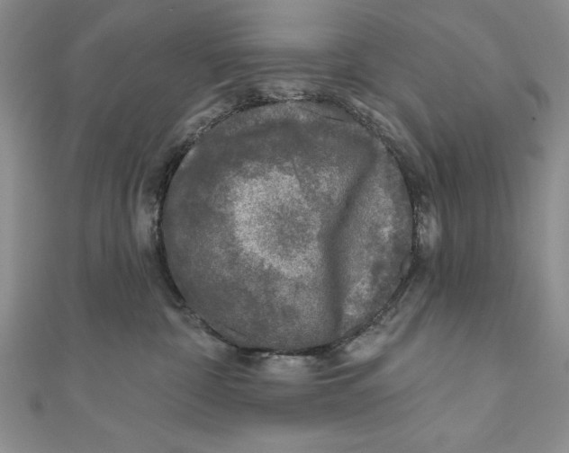 X0000111000332200907171819