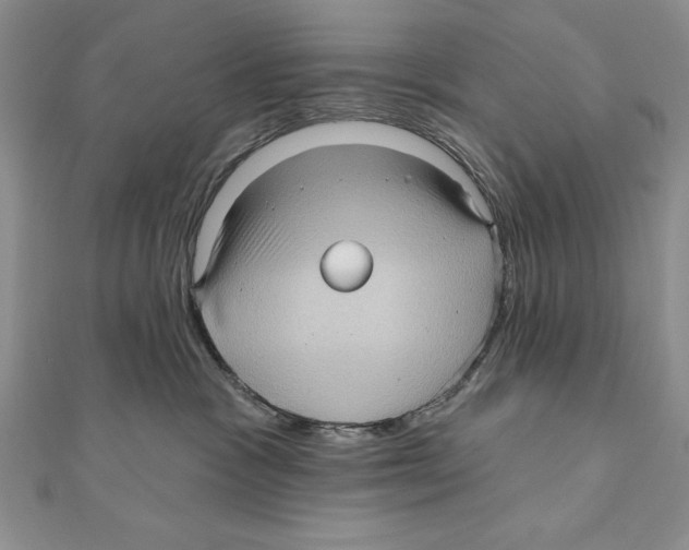 X0000111000333200907171819