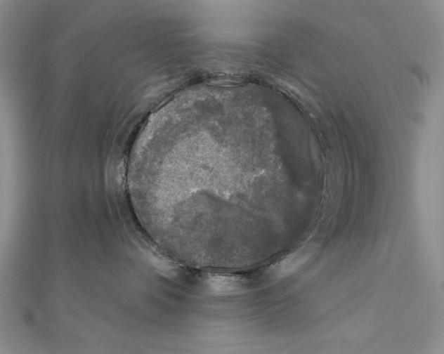 X0000111000336200907171819