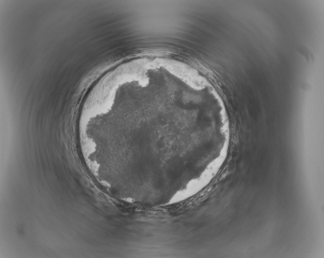 X0000111000337200907171818