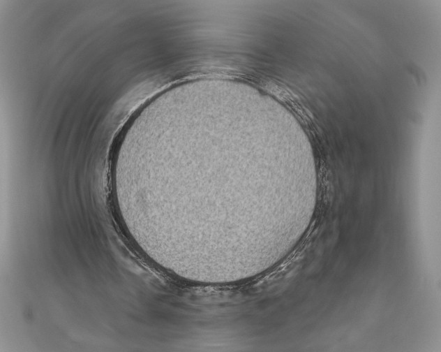 X0000111000338200907171818