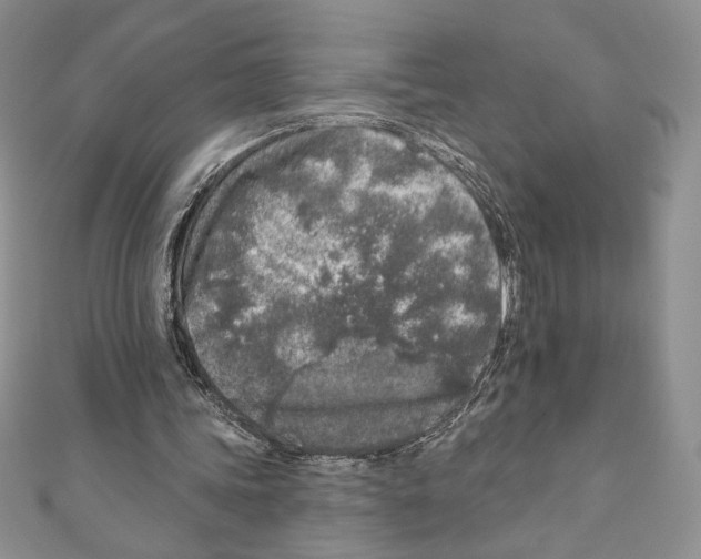 X0000111000339200907171818