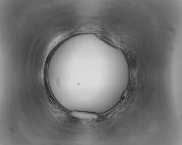 X0000111000340200907171818