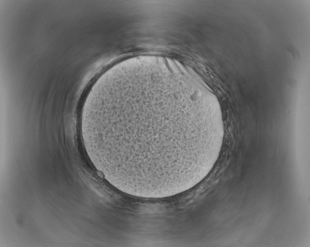 X0000111000342200907171818