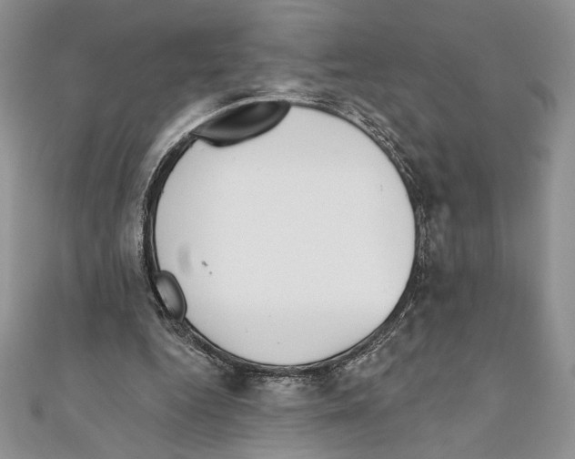 X0000111000344200907171818