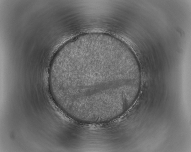 X0000111000345200907171818