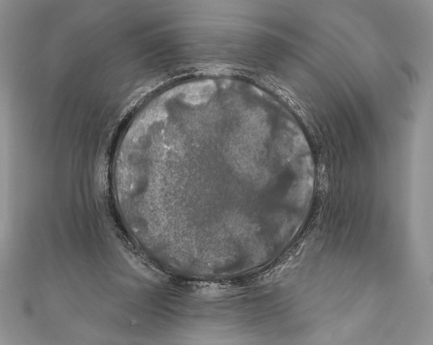 X0000111000347200907171818