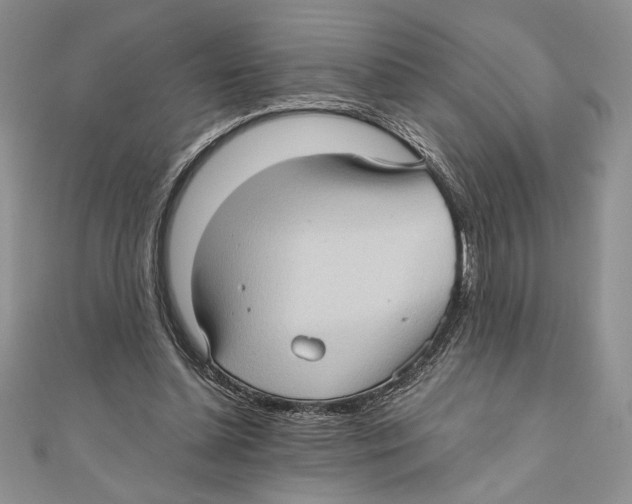 X0000111000348200907171818