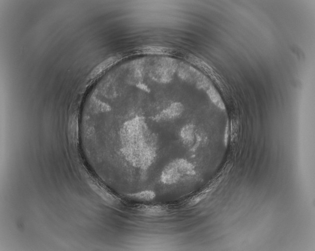 X0000111000349200907171818