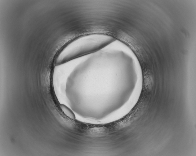 X0000111000350200907171818