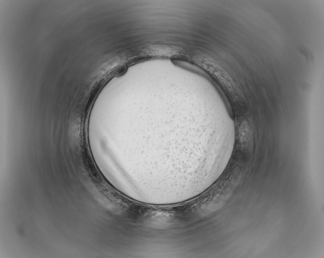 X0000111000352200907171818