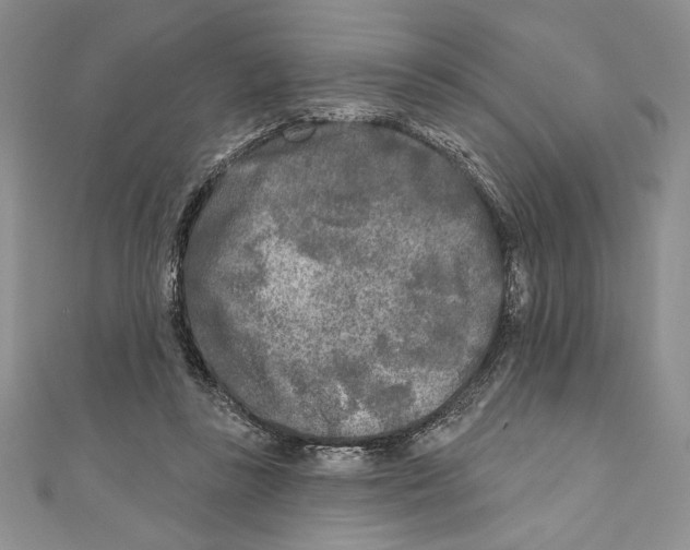 X0000111000355200907171818