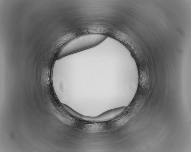 X0000111000356200907171818