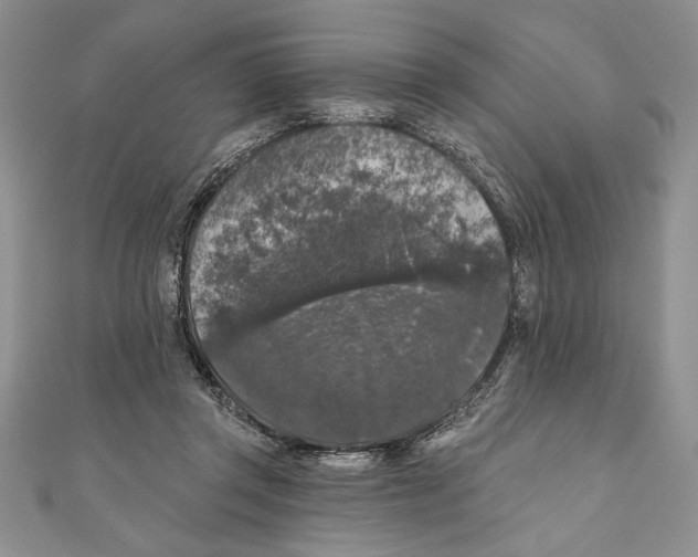 X0000111000357200907171818