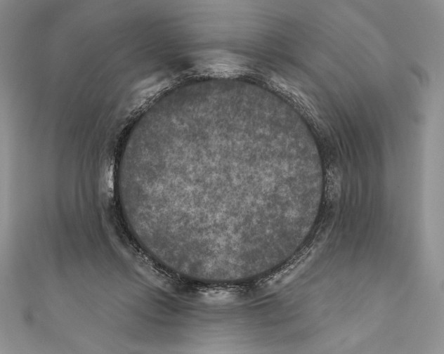 X0000111000358200907171818