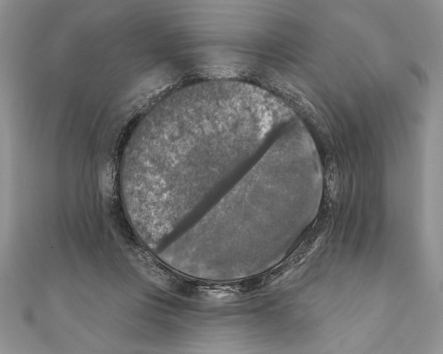 X0000111000359200907171818