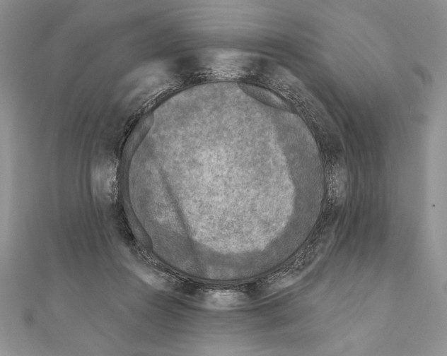 X0000111000360200907171818